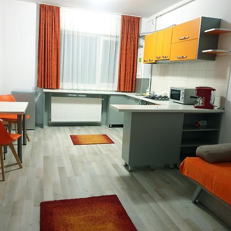 Friendly Rentals Vivamus Braşov Dış mekan fotoğraf
