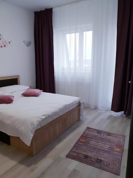 Friendly Rentals Vivamus Braşov Dış mekan fotoğraf